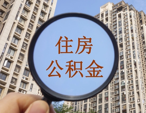 齐齐哈尔不小心把公积金提出来了（公积金误提了怎么办）
